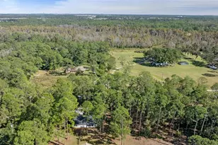 27944 Green Willow Run, Wesley Chapel, FL 33544 - Photo 44
