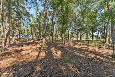 27944 Green Willow Run, Wesley Chapel, FL 33544 - Photo 42