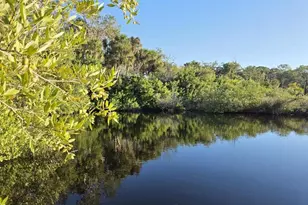 18909 Aripeka Rd, Hudson, FL 34667 - Photo 4