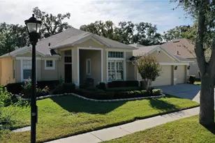 2523 Bonterra Blvd, Valrico, FL 33594 - Photo 58