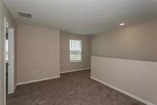 34745 Blossom Fall Path, Zephyrhills, FL 33541 - Photo 14