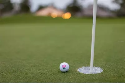 10119 Carnoustie Place, Bradenton, FL 34211 - Photo 96