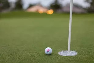 10119 Carnoustie Pl, Bradenton, FL 34211 - Photo 96