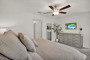 5538 Blue Azure Dr, Wimauma, FL 33598 - Photo 16