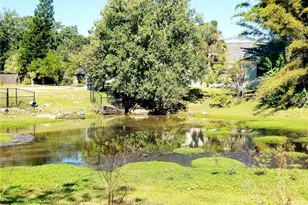 5245 Kapok Dr, New Port Richey, FL 34652 - Photo 36