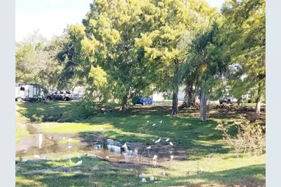 5245 Kapok Drive, New Port Richey, FL 34652 - Photo 38