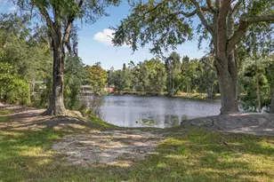 3926 Cove Lake Pl, Land O Lakes, FL 34639 - Photo 1