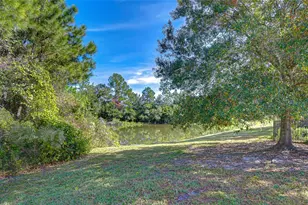 4246 Warwick Hills Dr, Wesley Chapel, FL 33543 - Photo 24