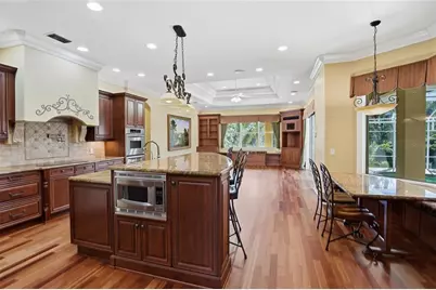 10526 Cory Lake Drive, Tampa, FL 33647 - Photo 34