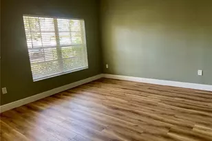 10131 Celtic Ash Dr, Ruskin, FL 33573 - Photo 4