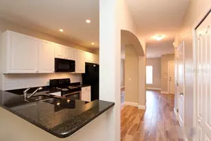 15765 Fishhawk Falls Dr, Lithia, FL 33547 - Photo 8