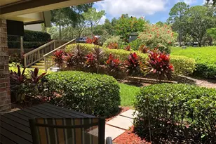 36750 US Hwy 19, Palm Harbor, FL 34683 - Photo 14