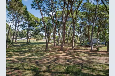 2001 62nd Avenue S, Saint Petersburg, FL 33712 - Photo 6