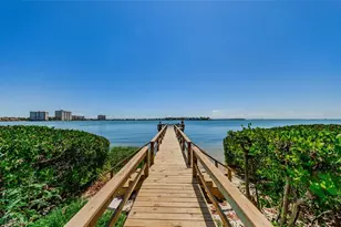 6269 Palma Del Mar Blvd S, Saint Petersburg, FL 33715 - Photo 54