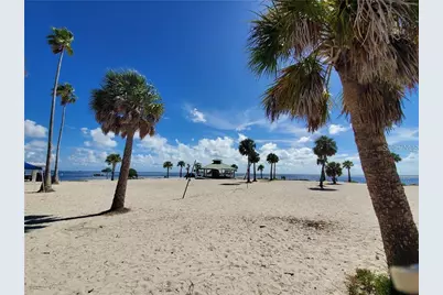 46 Drury Lane, Tarpon Springs, FL 34689 - Photo 80