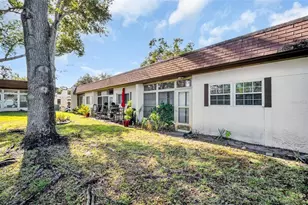 3109 Mission Grove Dr, Palm Harbor, FL 34684 - Photo 44