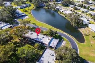 3109 Mission Grove Dr, Palm Harbor, FL 34684 - Photo 34