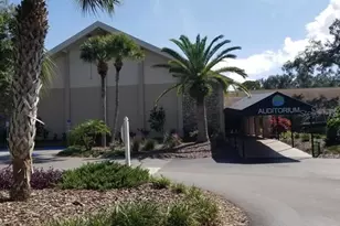 3109 Mission Grove Dr, Palm Harbor, FL 34684 - Photo 46