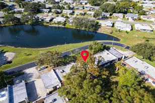 3109 Mission Grove Dr, Palm Harbor, FL 34684 - Photo 38