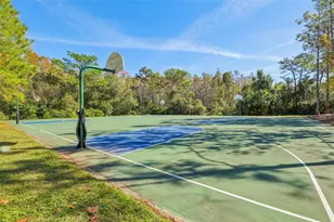 31234 Claridge Pl, Wesley Chapel, FL 33543 - Photo 40