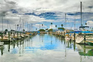 9 Haig Pl, Dunedin, FL 34698 - Photo 60