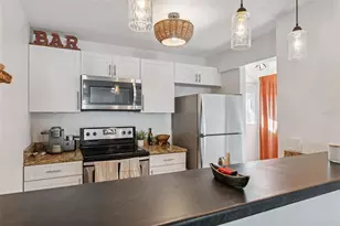 4821 W McElroy Ave, Tampa, FL 33611 - Photo 14