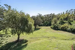 36750 US Hwy 19 N, Palm Harbor, FL 34683 - Photo 30