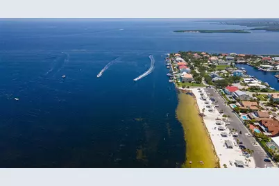 3711 Floramar Terrace, New Port Richey, FL 34652 - Photo 66