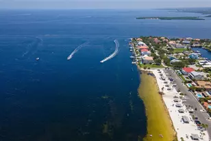 3711 Floramar Terrace, New Port Richey, FL 34652 - Photo 66