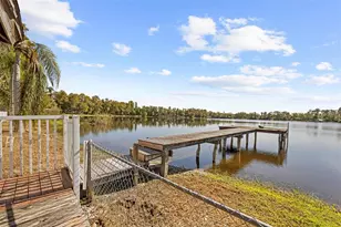 20228 County Line Rd, Lutz, FL 33558 - Photo 60