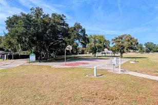 8410 Peterson Rd, Odessa, FL 33556 - Photo 10
