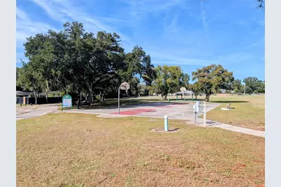 8410 Peterson Road, Odessa, FL 33556 - Photo 10