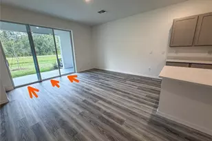 11367 Velvet Apricot Dr, Land O Lakes, FL 34638 - Photo 10