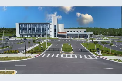 11367 Velvet Apricot Drive, Land O Lakes, FL 34638 - Photo 46