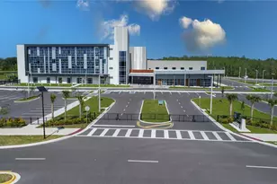 11367 Velvet Apricot Dr, Land O Lakes, FL 34638 - Photo 46