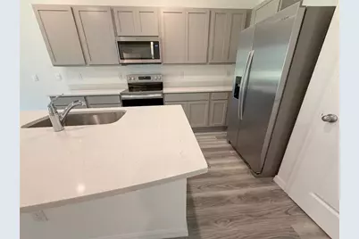 11367 Velvet Apricot Drive, Land O Lakes, FL 34638 - Photo 12