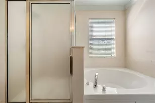 17528 Hugh Ln, Land O Lakes, FL 34638 - Photo 22
