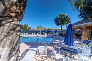 210 Mystic Falls Dr, Apollo Beach, FL 33572 - Photo 46