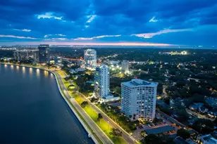 2611 Bayshore Blvd, Tampa, FL 33629 - Photo 66