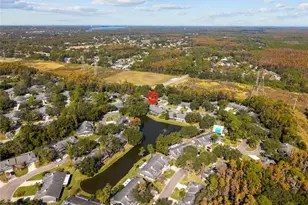 948 Lucas Ln, Oldsmar, FL 34677 - Photo 50