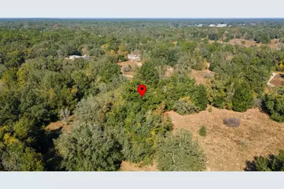 2305 Jefferson Street, Inverness, FL 34453 - Photo 4