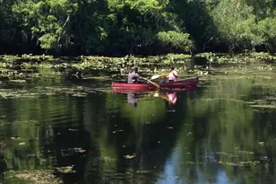 13304 Sanctuary Cove Dr, Temple Terrace, FL 33637 - Photo 52