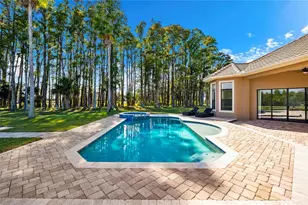 17336 Ballmont Park Dr, Odessa, FL 33556 - Photo 56