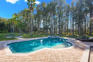 17336 Ballmont Park Dr, Odessa, FL 33556 - Photo 60