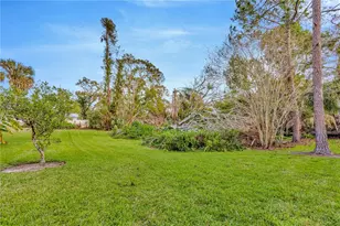 7201 Hodgewood Ct Ct, Tampa, FL 33614 - Photo 46