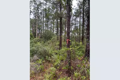 2811 53rd Street W, Lehigh Acres, FL 33971 - Photo 1