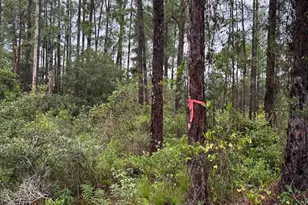 2811 53rd St W, Lehigh Acres, FL 33971 - Photo 1