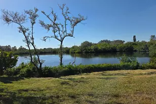 3301 Alt 19, Dunedin, FL 34698 - Photo 2