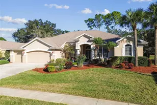 3988 Mimosa Pl, Palm Harbor, FL 34685 - Photo 78