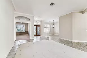 3988 Mimosa Pl, Palm Harbor, FL 34685 - Photo 14